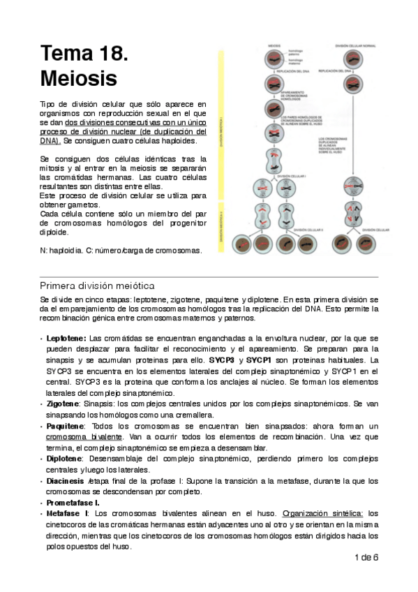 Miniatura del documento 18. Meiosis .pdf