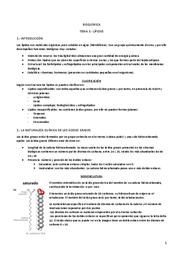 Miniatura del documento TEMA 3.- LÍPIDOS.pdf