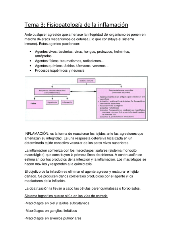 Miniatura del documento Tema 3 FISIOPATO.pdf