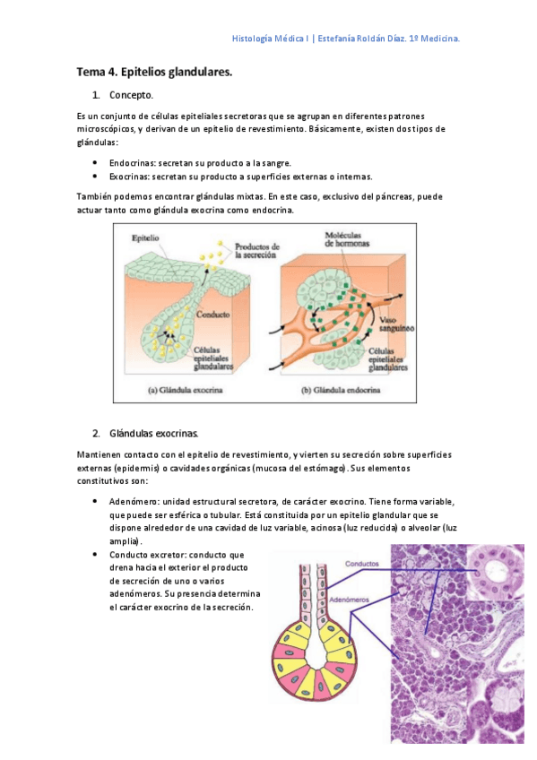Miniatura del documento Tema 4.pdf