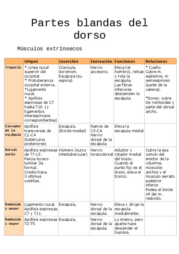 Miniatura del documento Músculos Dorso C3.pdf