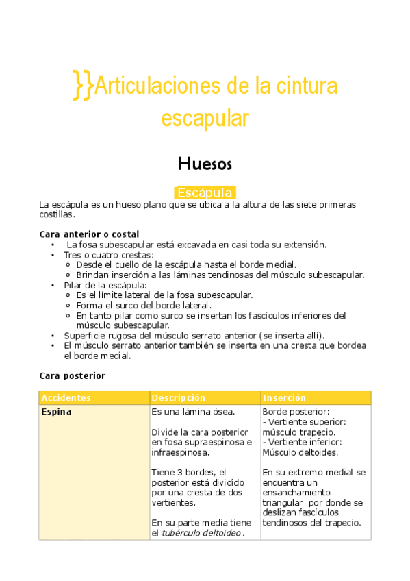 Miniatura del documento Hombro Axila Plexo Braquial C3 PDF.pdf