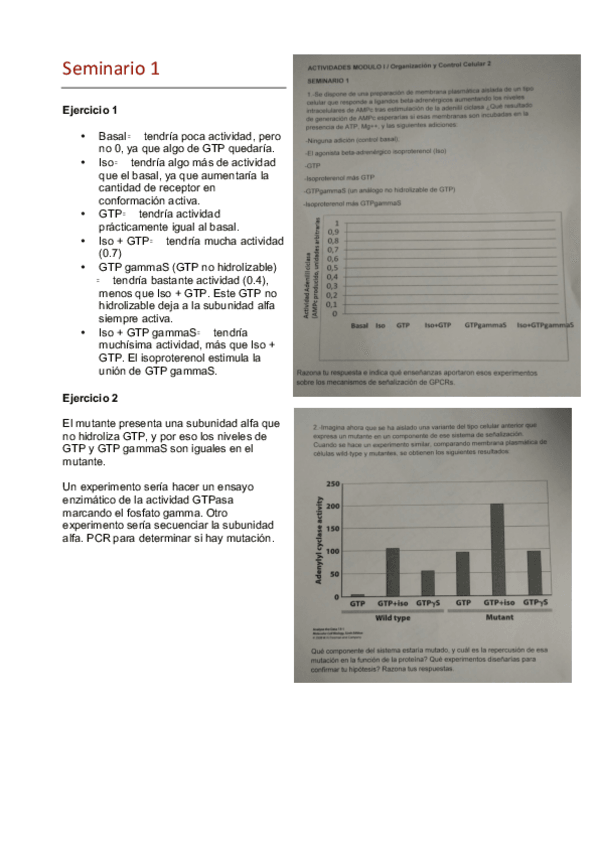 Miniatura del documento E. Seminarios.pdf