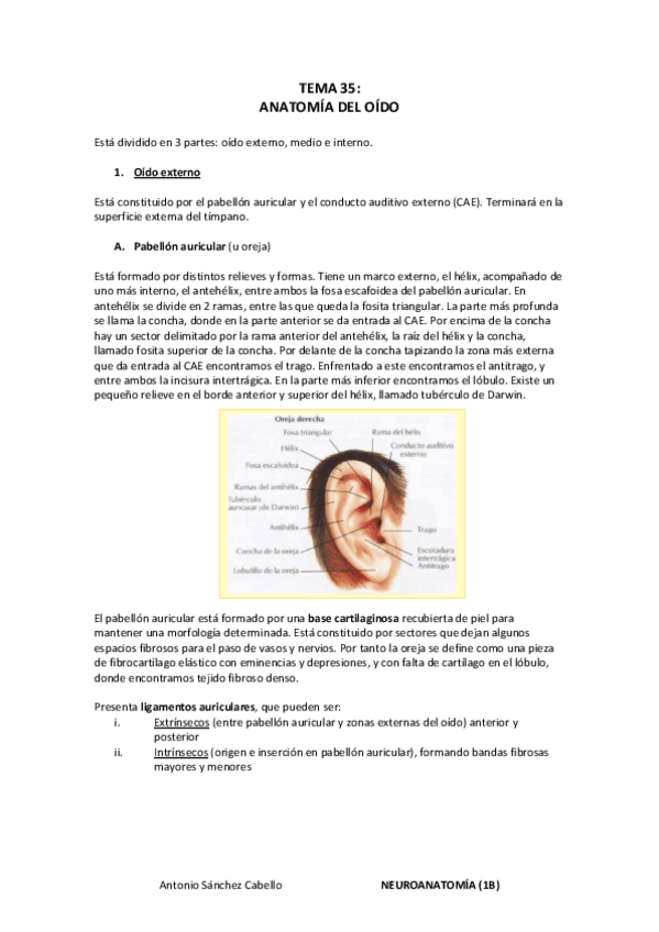 Miniatura del documento (35) Anatomía del oído.pdf