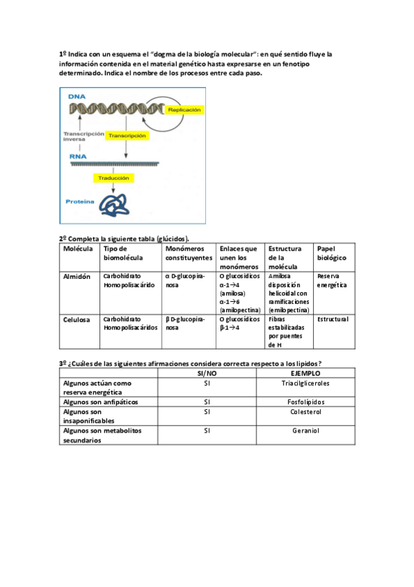 Miniatura del documento Autoevaluación 2 Bioquímica.pdf