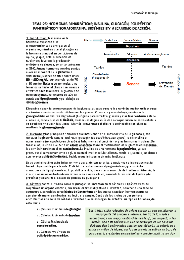 Miniatura del documento TEMA 25.pdf