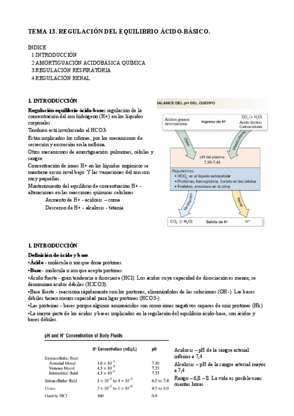 Miniatura del documento T13. Regulación ácido base.pdf
