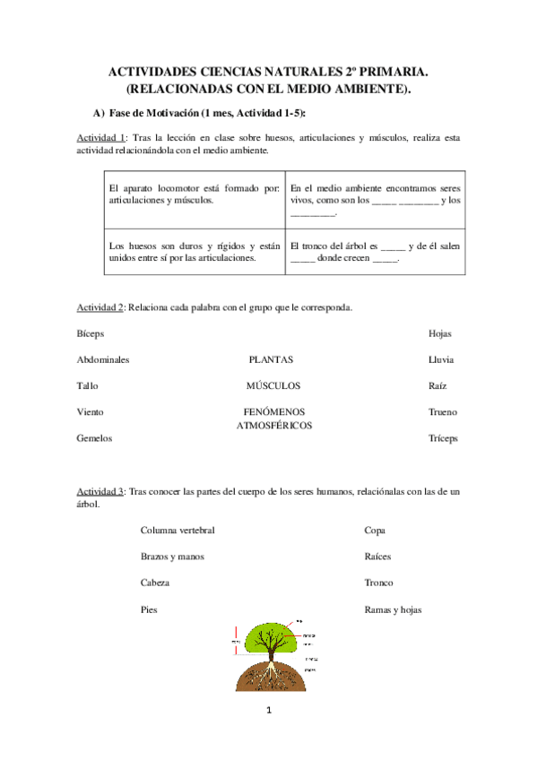 Miniatura del documento ACTIVIDADES CIENCIAS NATURALES 2º PRIMARIA.pdf