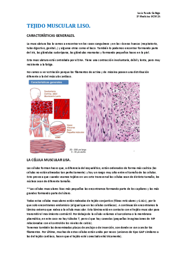 Miniatura del documento Tejido muscular liso.pdf