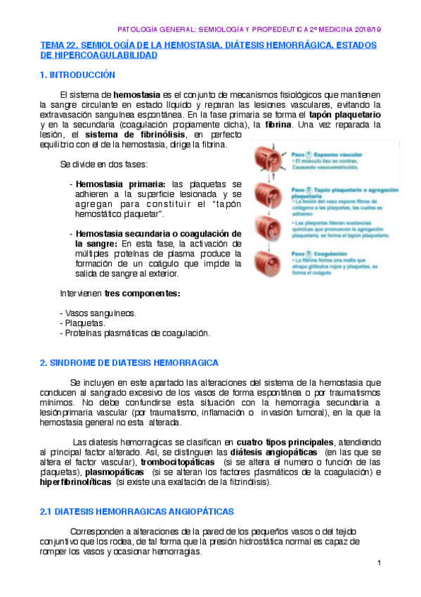 Miniatura del documento T22. HEMOSTASIA. .pdf
