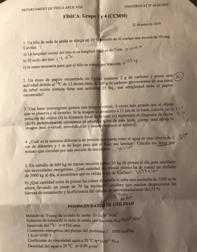 Miniatura del documento Final enero 2019.pdf