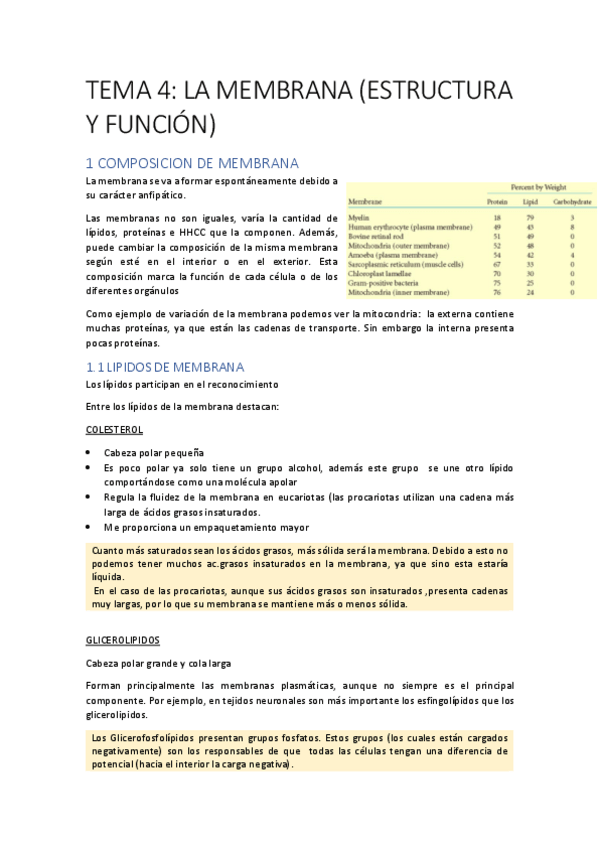 Miniatura del documento T4 membrana.pdf