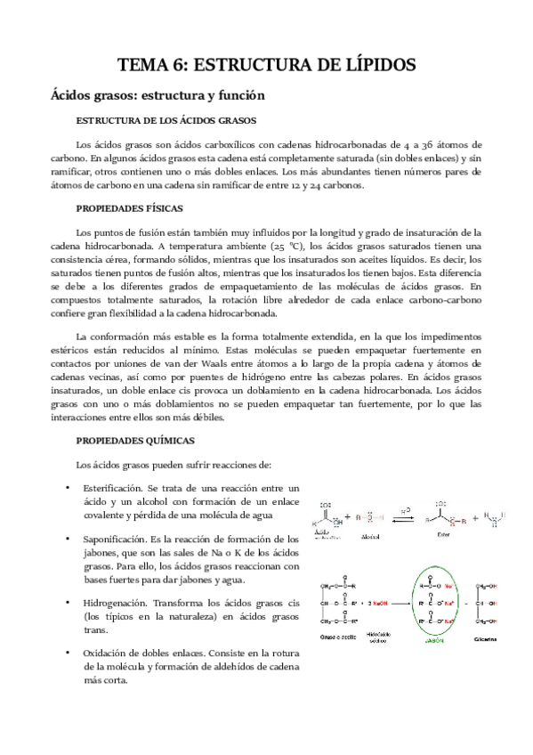 Miniatura del documento TEMA 6.pdf