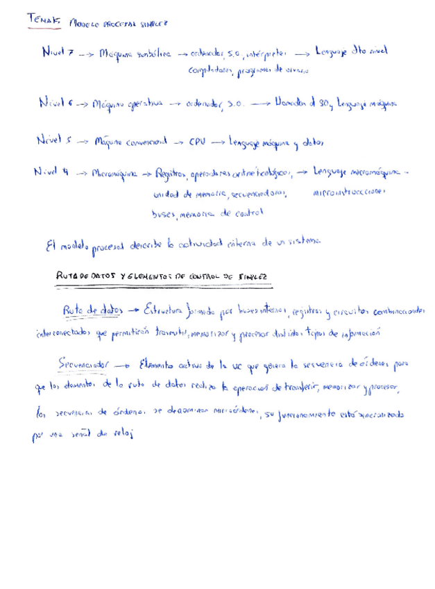 Miniatura del documento MODELO PROCESAL SIMPLEZ.pdf