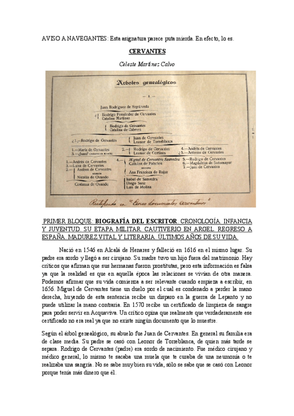 Miniatura del documento CERVANTES.pdf