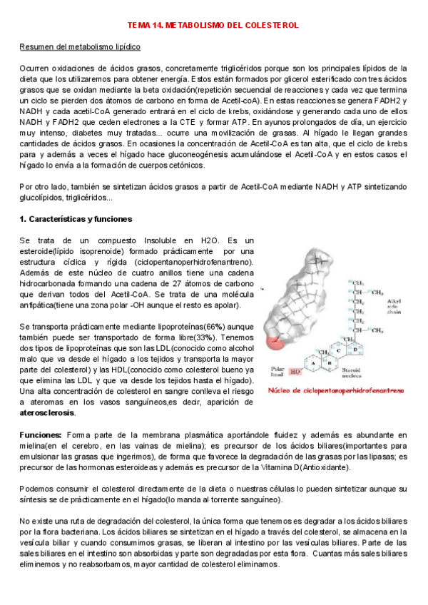 Miniatura del documento TEMA 14. Síntesis del colesterol.pdf
