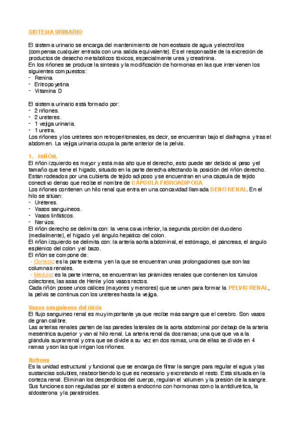 Miniatura del documento Sistema urinario.pdf