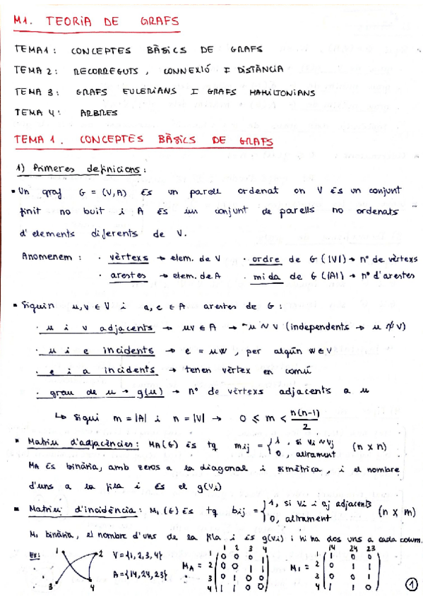 Miniatura del documento M1 - Tª GRAFS - RESUM.pdf