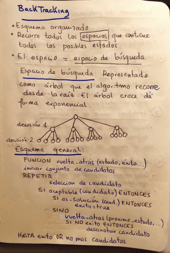 Miniatura del documento Backtracking.pdf