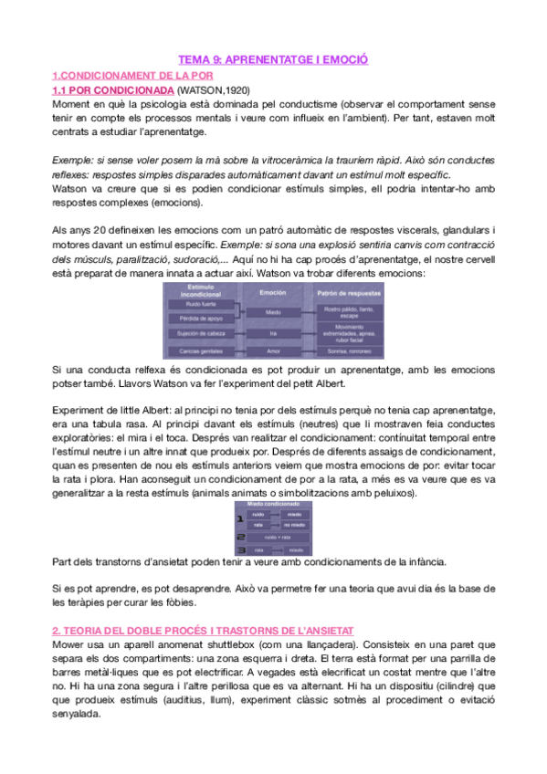 Miniatura del documento CONFERÈNCIA 18. TEMA 9 - APRENENTATGE I EMOCIÓ.pdf