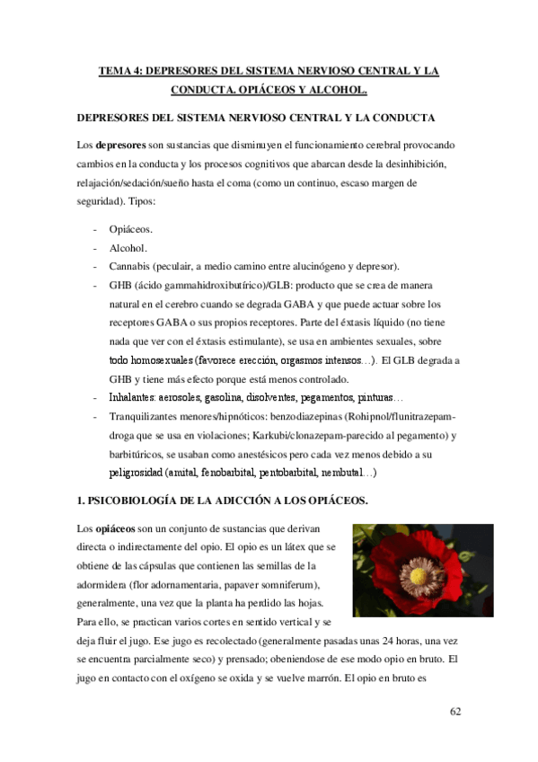 Miniatura del documento PSICOFARMACOLOGÍA tema 4.pdf