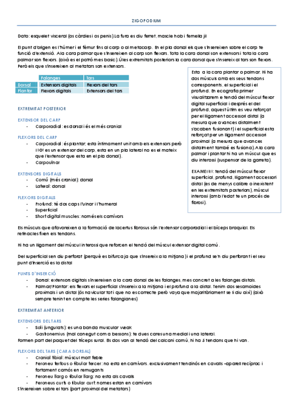 Miniatura del documento ZIGOPODIUM.pdf