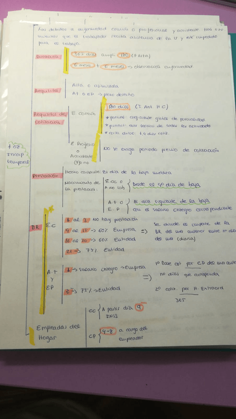 Miniatura del documento 0FCEE6C0-1ED5-4B24-9184-31BCD3F3BE67.jpeg
