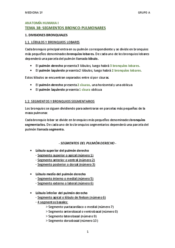 Miniatura del documento TEMA 38 - SEGMENTOS BRONCO-PULMONARES.pdf