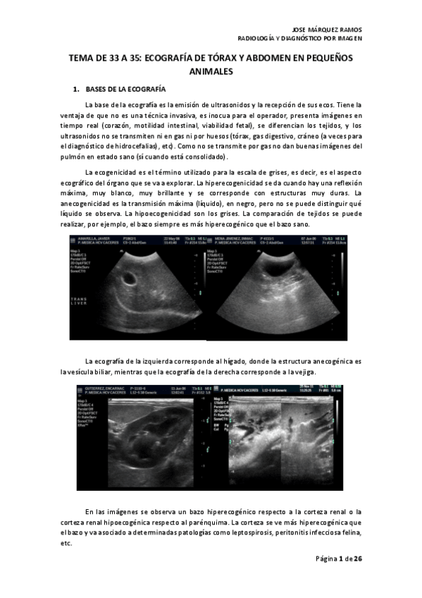 Miniatura del documento TEMA 33-35 ECOGRAFÍA DE TÓRAX Y ABDOMEN EN PEQUEÑOS ANIMALES.pdf