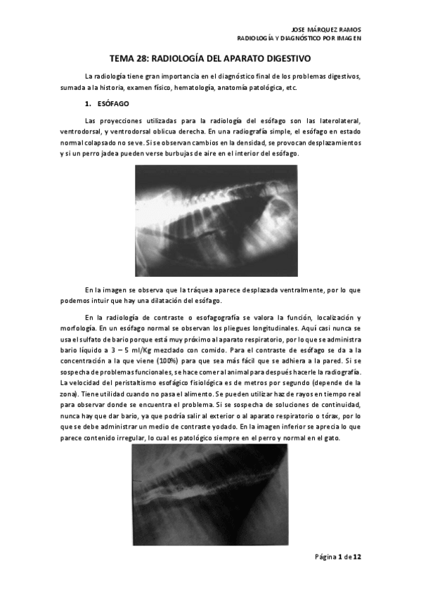Miniatura del documento TEMA 28 RADIOLOGÍA DEL APARATO DIGESTIVO.pdf