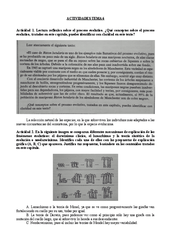 Miniatura del documento Actividades tema 6. DCCEEII.pdf