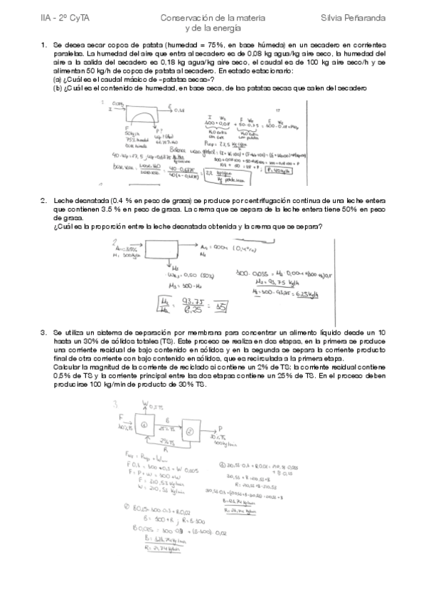 Miniatura del documento IIA tema 4.pdf