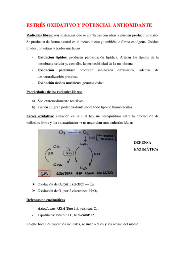 Miniatura del documento resumen toxicología.pdf
