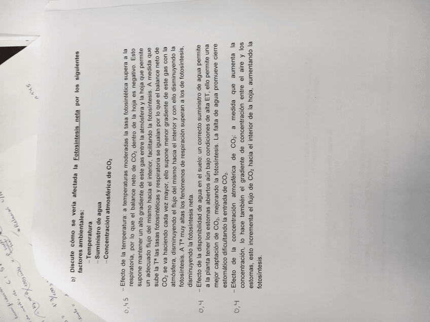 Miniatura del documento 10.jpg