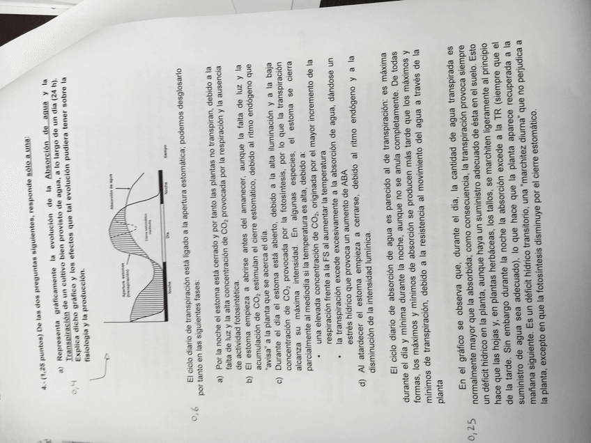 Miniatura del documento 9.jpg