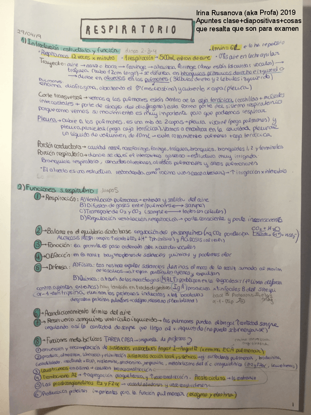 Miniatura del documento RESPIRATORIO IRINA 2019 C.pdf