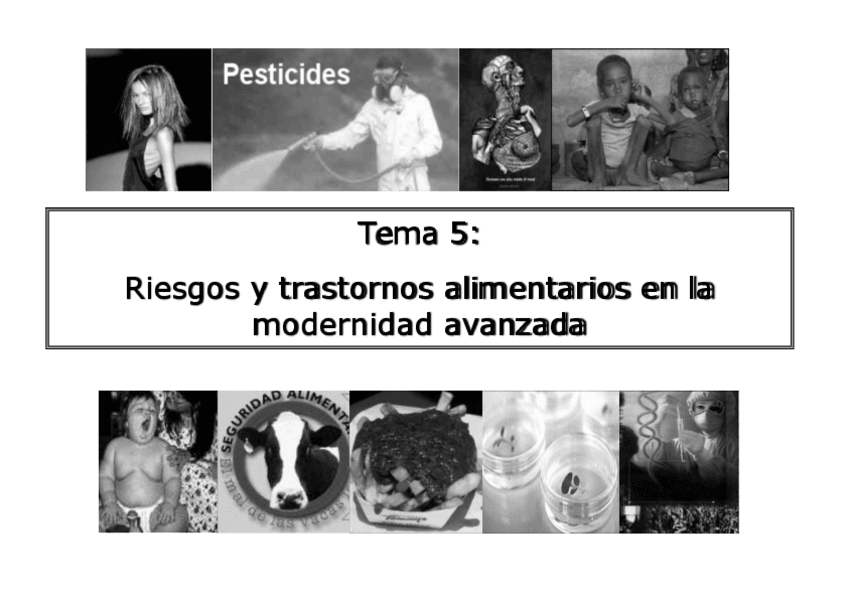Miniatura del documento Tema 5 castellano alimentacion y cultura.pdf