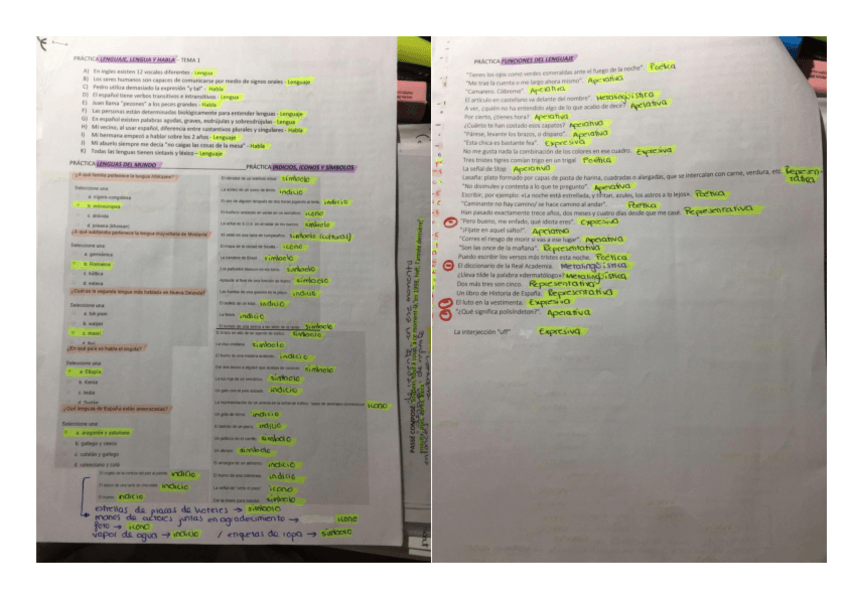 Miniatura del documento RESUMEN ACTIVIDADES LINGÜÍSTICA .pdf