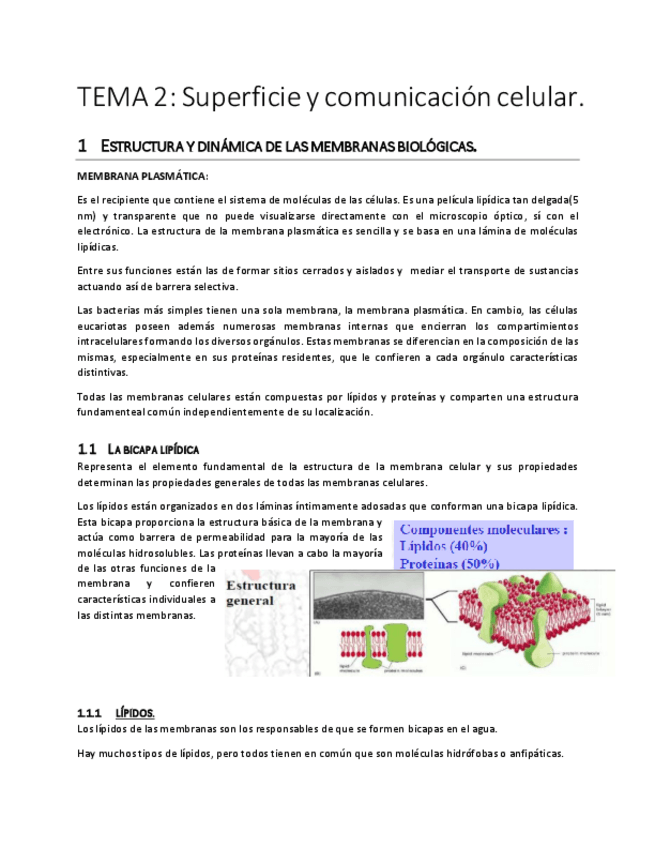 Miniatura del documento TEMA 2.pdf