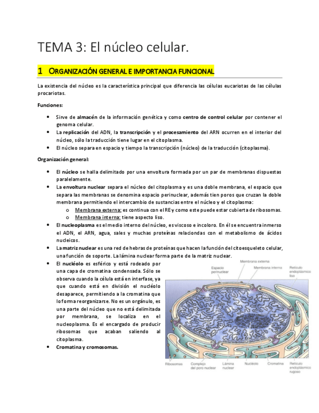 Miniatura del documento TEMA 3.pdf