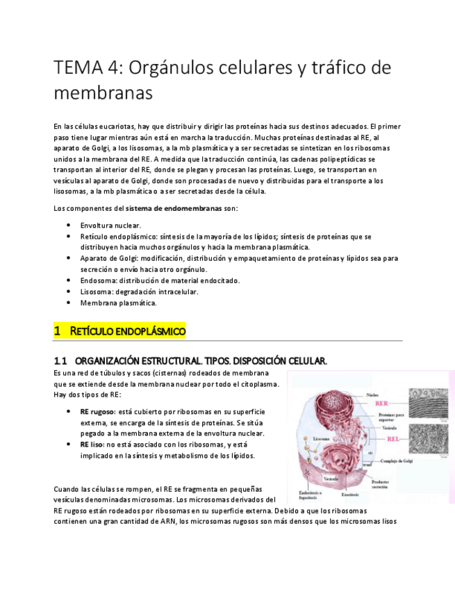 Miniatura del documento TEMA 4.pdf