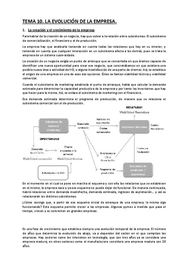 Miniatura del documento TEMA 10. La evolución de la empresa.pdf