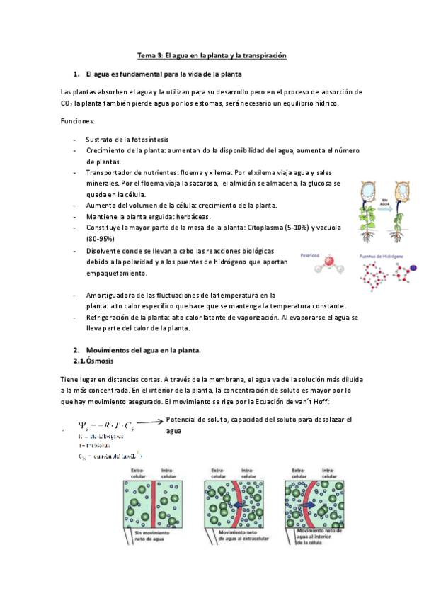 Miniatura del documento tema 3.pdf