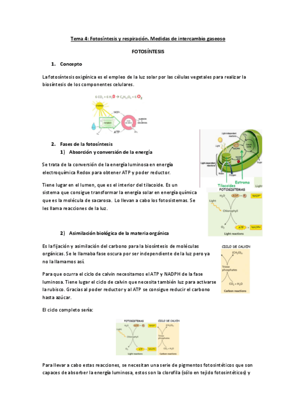 Miniatura del documento tema 4.pdf