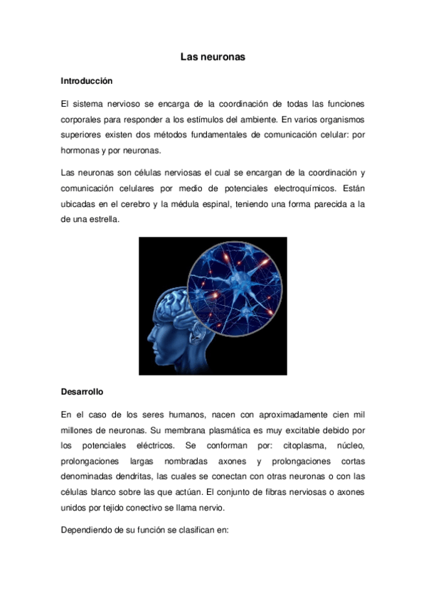 Miniatura del documento Neuronas resumen.docx