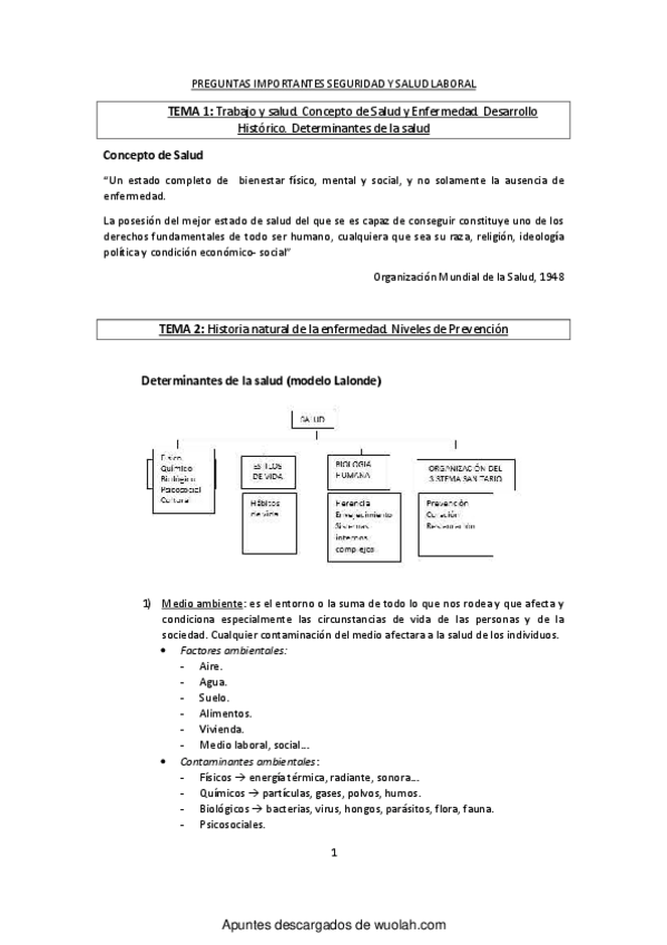 Miniatura del documento PREGUNTAS IMPORTANTES SEGURIDAD Y SALUD LABORAL.pdf