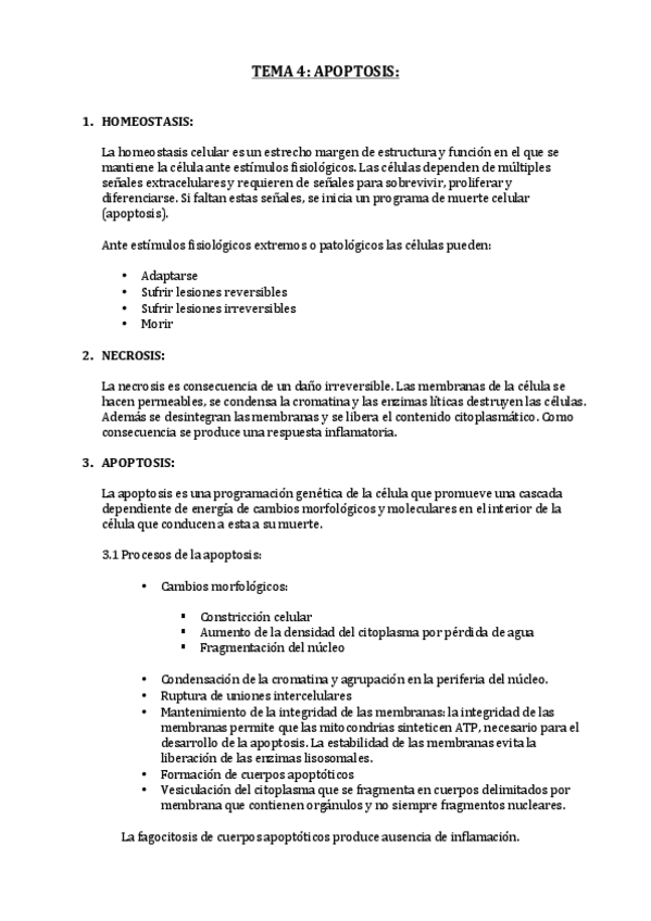 Miniatura del documento TEMA 4 (6).pdf