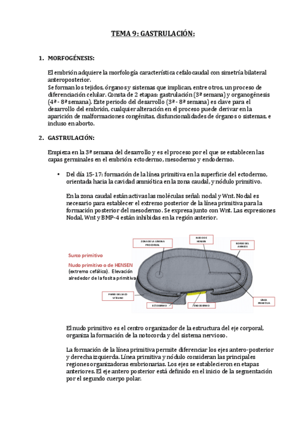 Miniatura del documento TEMA 9 (9).pdf