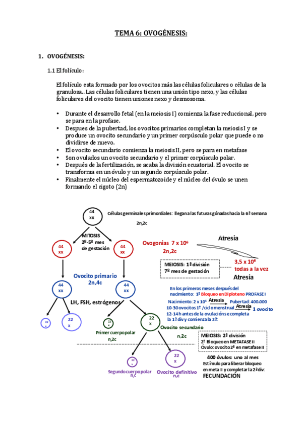 Miniatura del documento TEMA 6 (5).pdf