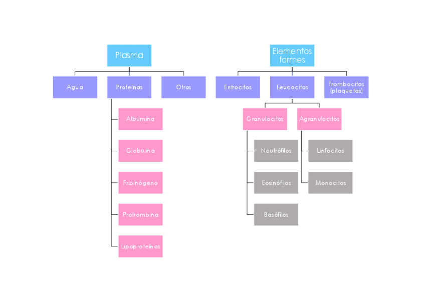 Miniatura del documento Tejido sanguíneo.pdf